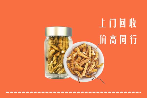 收购行情：四平回收冬虫夏草